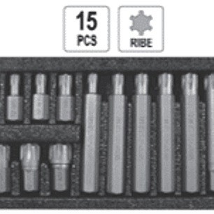 Juego de puntas RIBE de 15 piezas