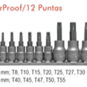 Juego de dados torx de seguridad de 1/4