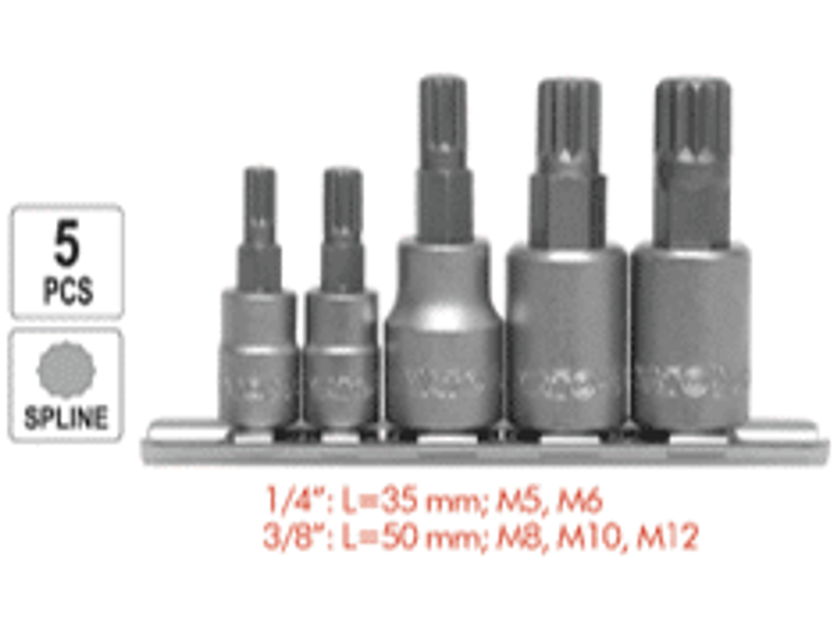 Juego de dados Imbus (Spline) de 1/4