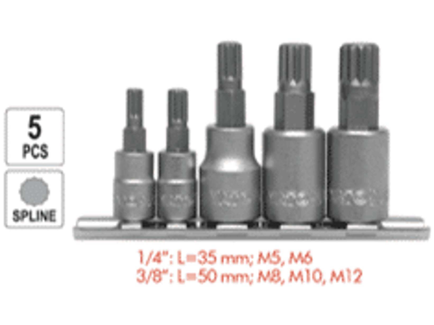 Juego de dados Imbus (Spline) de 1/4