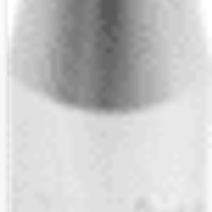 Adaptador para puntas 3/8