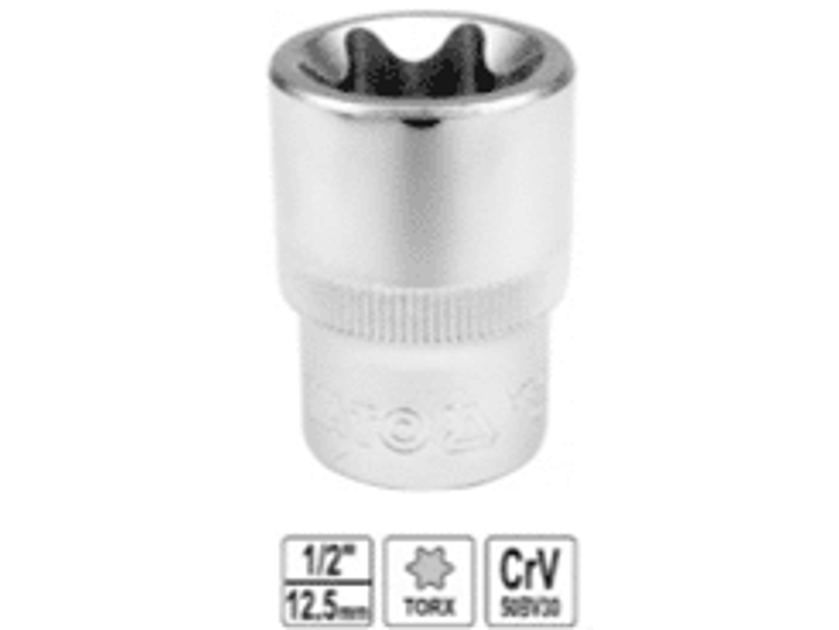 DADO TORX HEMBRA 1/2