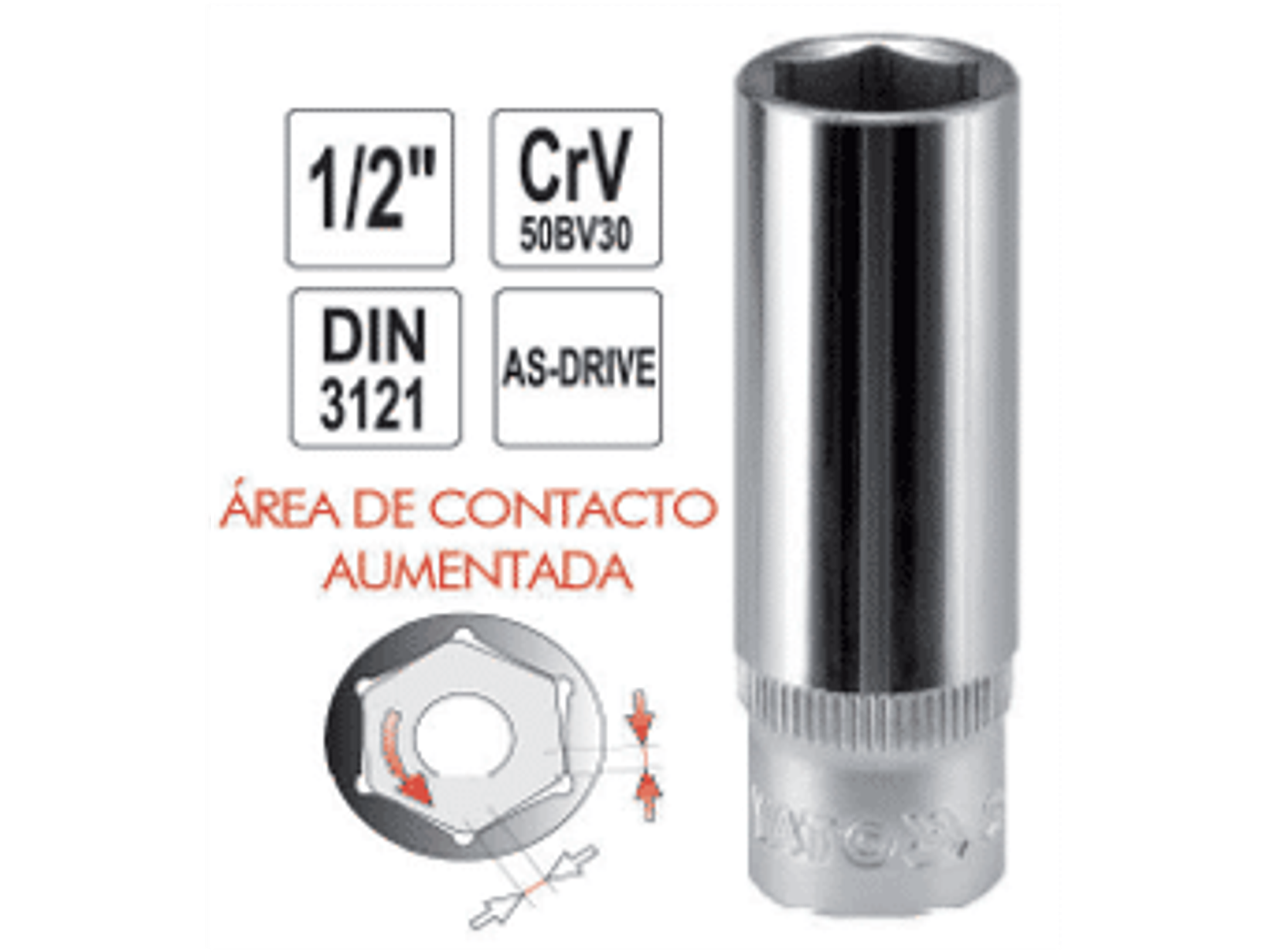 Dado cuadrante de 1/2