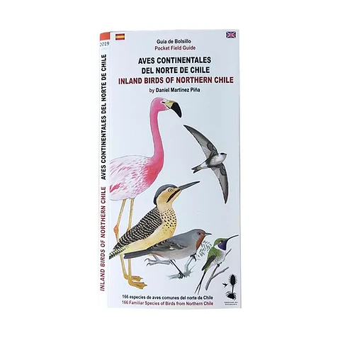 Aves del Norte de Chile – Guia de Bolsillo