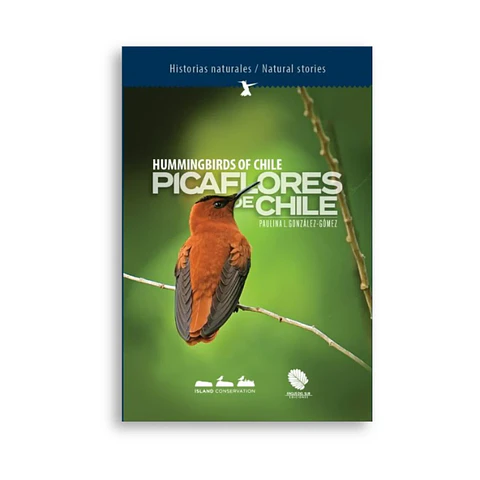 Picaflores de Chile: Paulina Gonzáles-Gómez