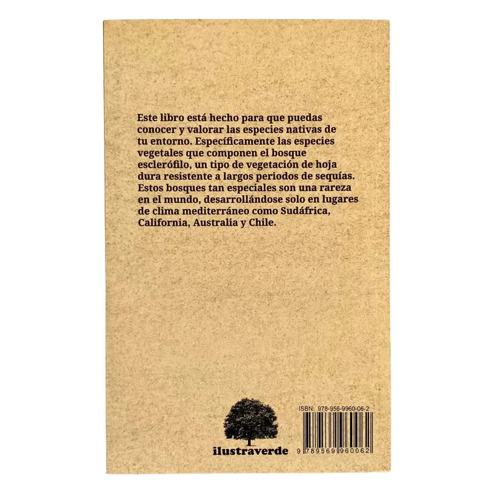 Observando el Bosque Esclerófilo - Claudia Ortiz 2
