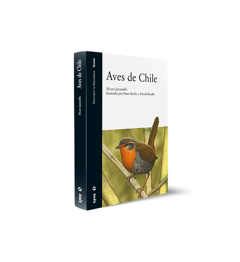 Aves de Chile – Alvaro Jaramillo