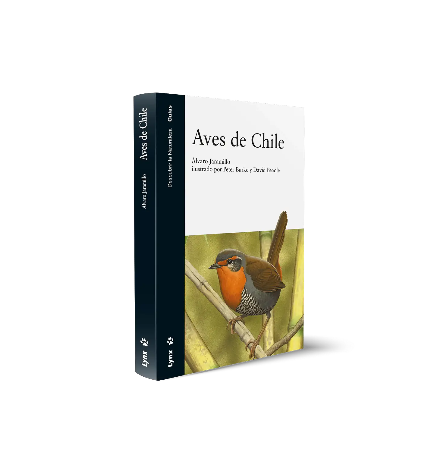 Aves de Chile – Alvaro Jaramillo 1