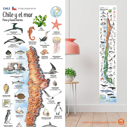 Mapa Chile y el Mar - Tourmaps