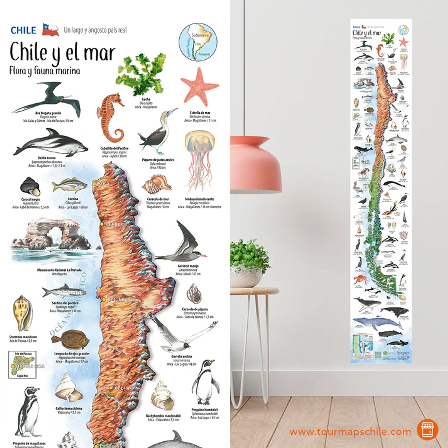 Mapa Chile y el Mar - Tourmaps 1