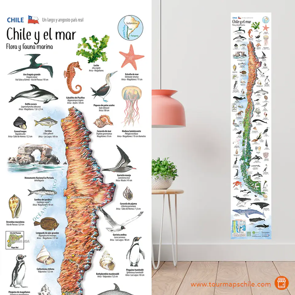 Mapa Chile y el Mar - Tourmaps 1