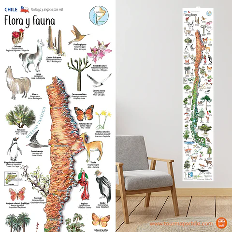 Chilean Flora and Fauna Foldout Map - Tourmaps