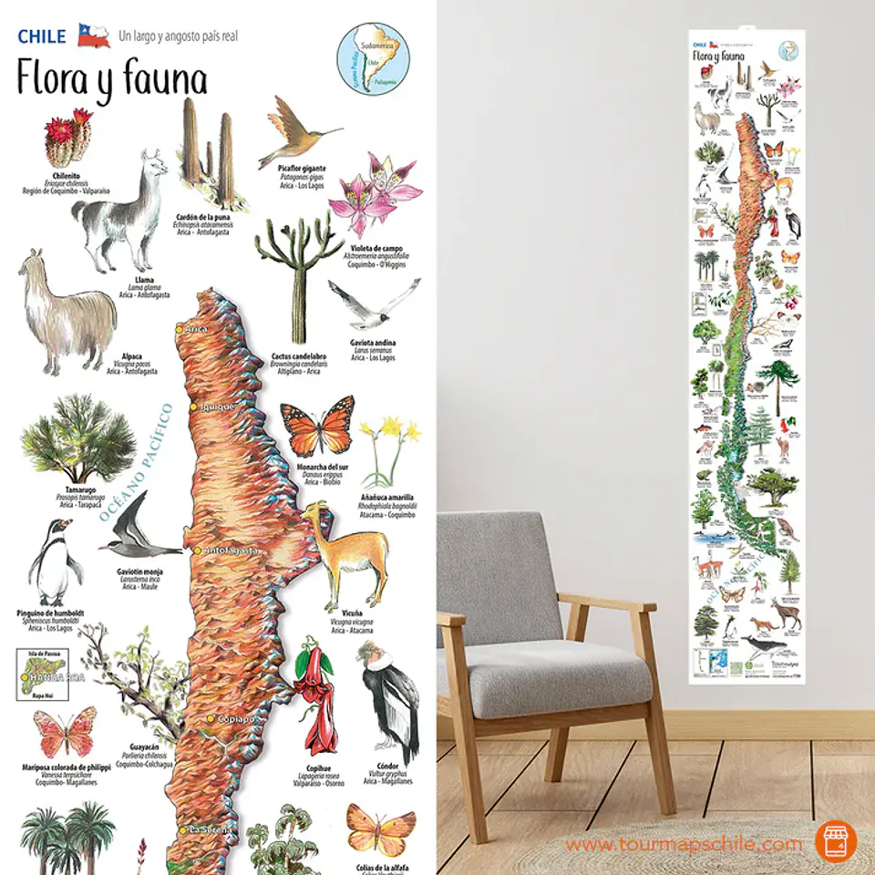 Chilean Flora and Fauna Foldout Map - Tourmaps 1