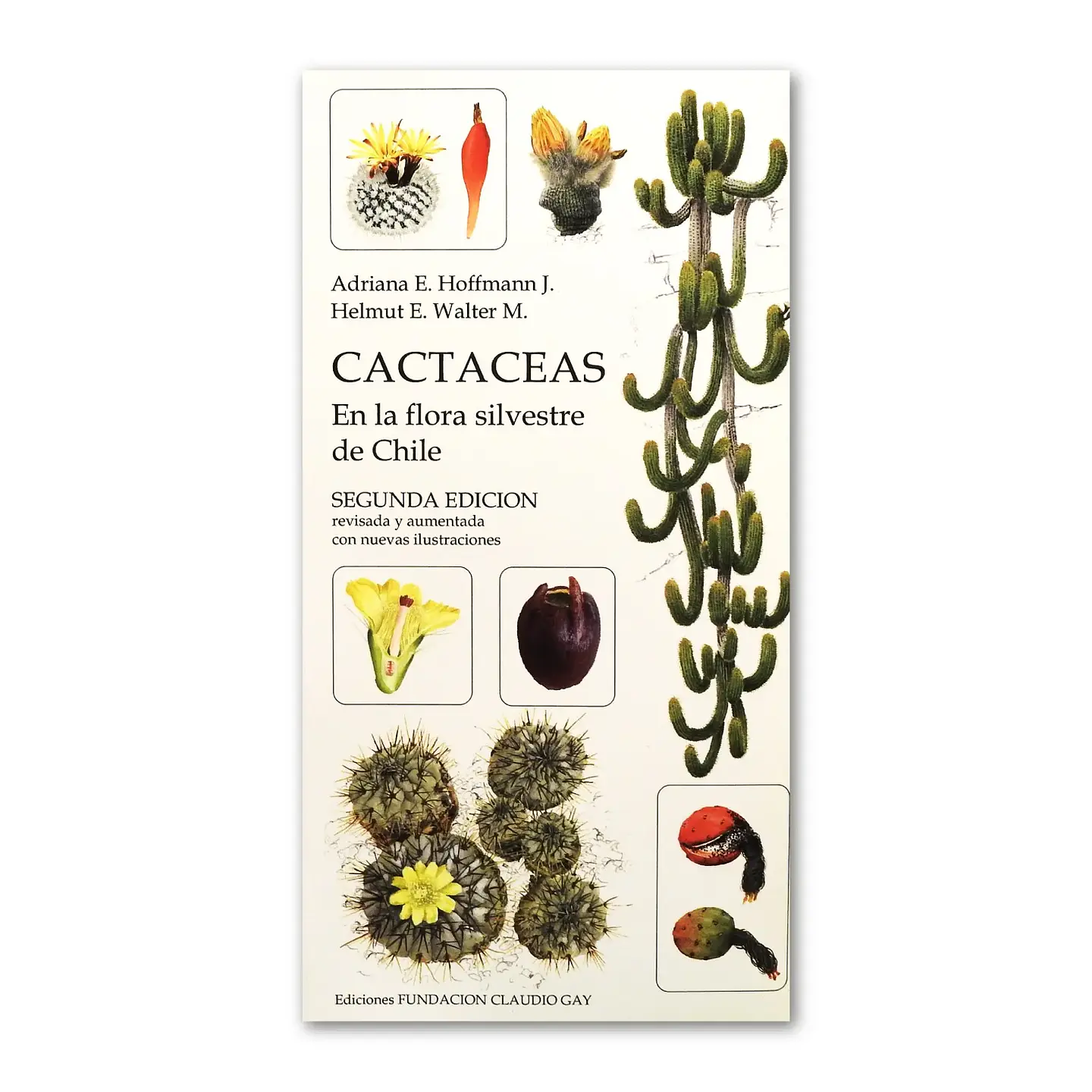 Cactáceas en la Flora silvestre de Chile – Adriana Hoffmann 1