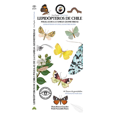 Lepidopteros de Chile  - Polillas - Mario Ramos y Paula Fuenzalida