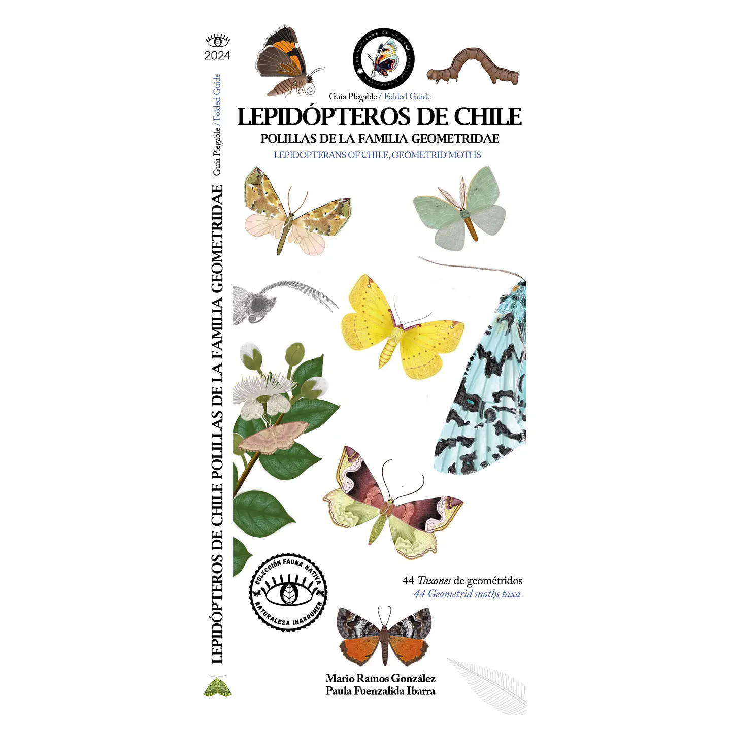 Lepidopteros de Chile  - Polillas - Mario Ramos y Paula Fuenzalida 1
