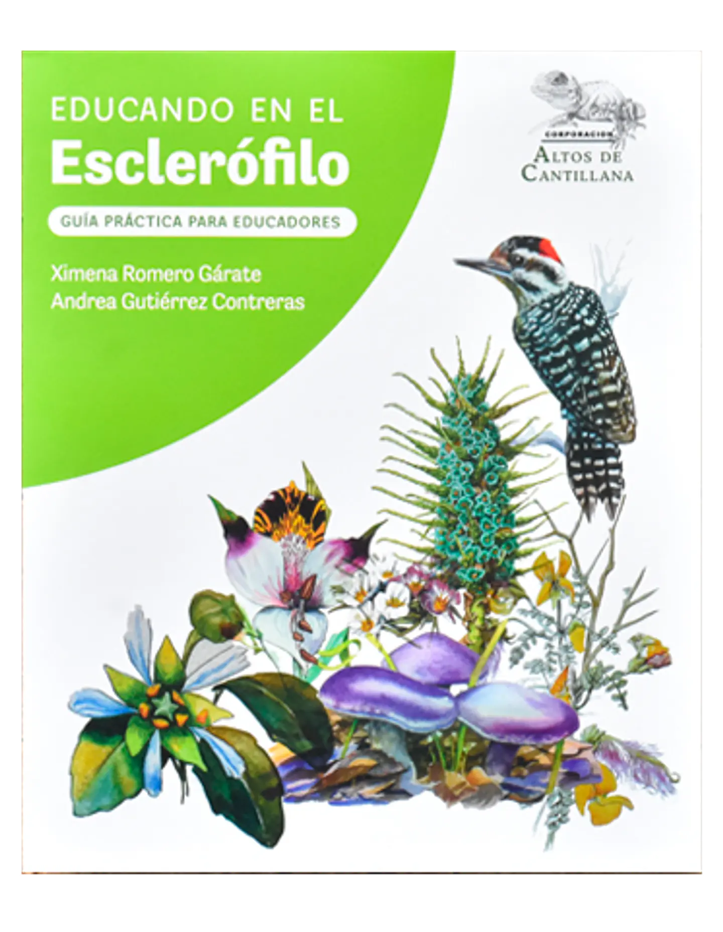 Educando en el Esclerófilo - Ximena Romero y Andrea Gutiérrez 2