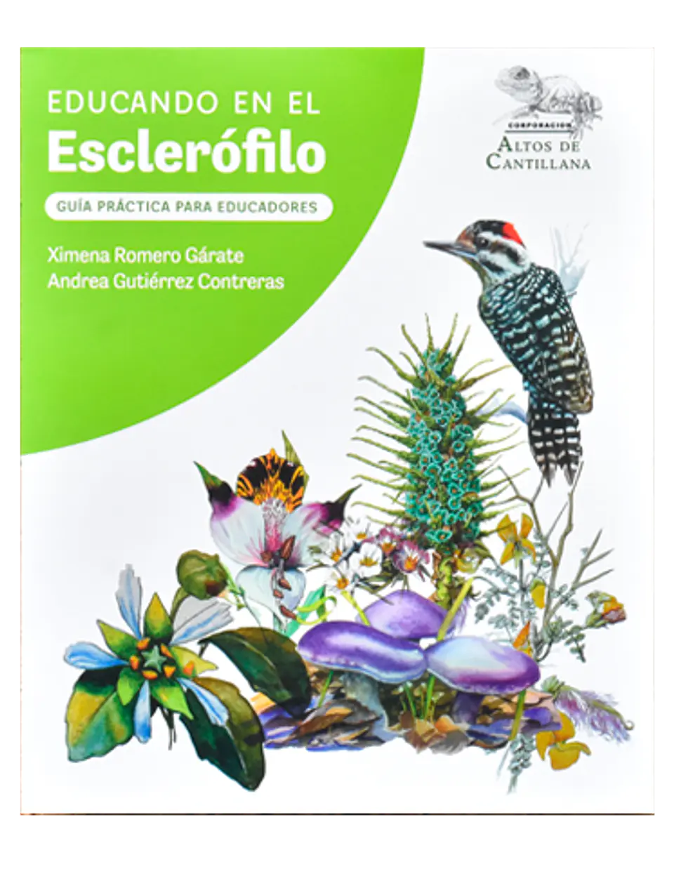 Educando en el Esclerófilo - Ximena Romero y Andrea Gutiérrez 2