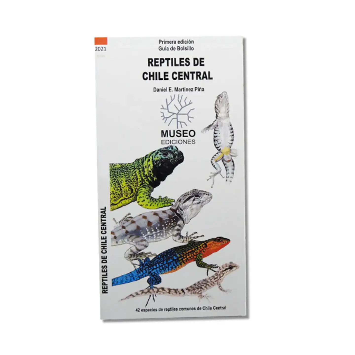 Guía de Bolsillo – Reptiles de Chile Central Segunda Edición 1
