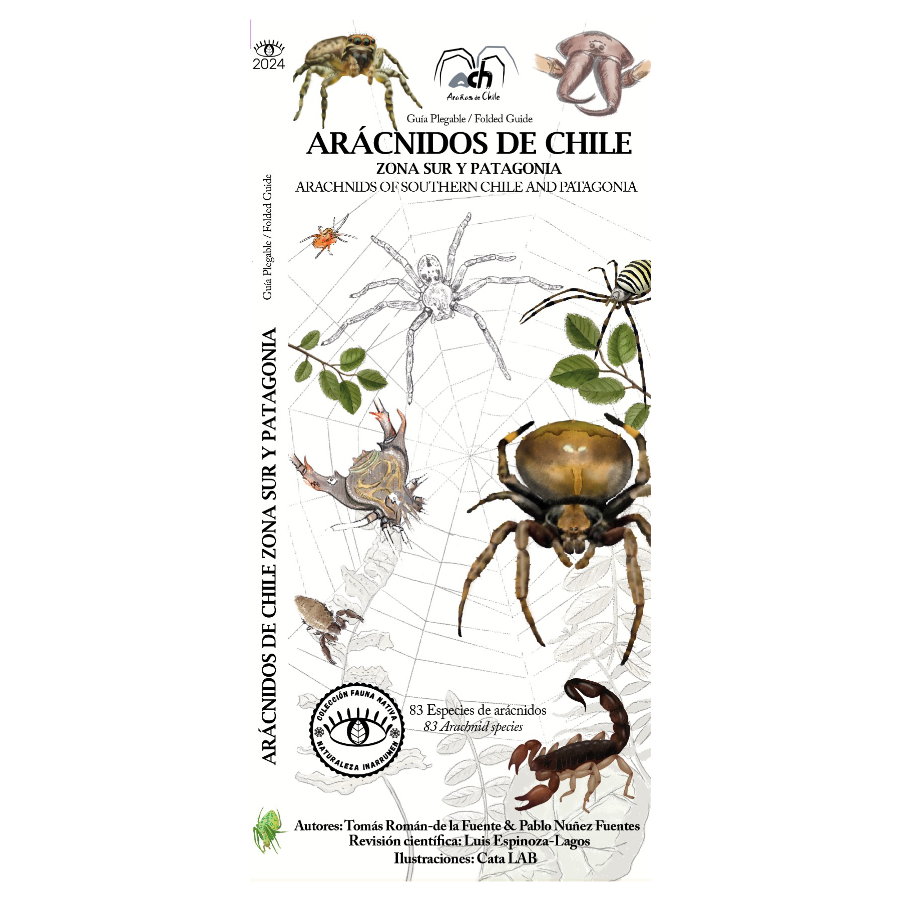 Arácnidos de Chile - Zona Sur y Patagonia - Museo Ediciones