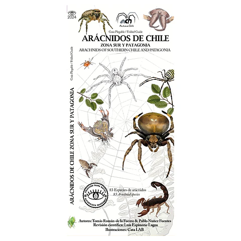 Arácnidos de Chile - Zona Sur y Patagonia - Museo Ediciones