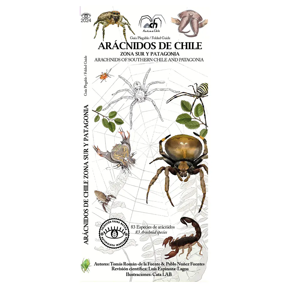 Arácnidos de Chile - Zona Sur y Patagonia - Museo Ediciones 1