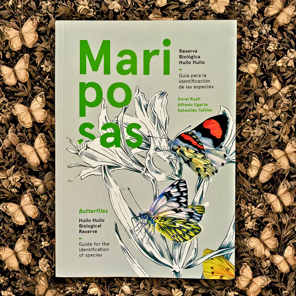 Mariposas de la Reserva Biológica Huilo Huilo 1