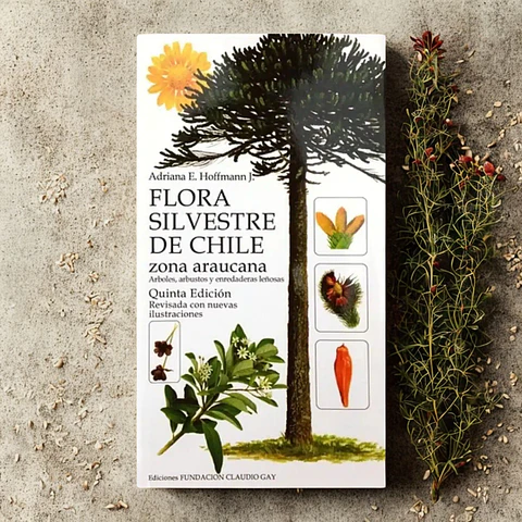 Flora Silvestre de Chile Zona Araucana - Adriana Hoffman