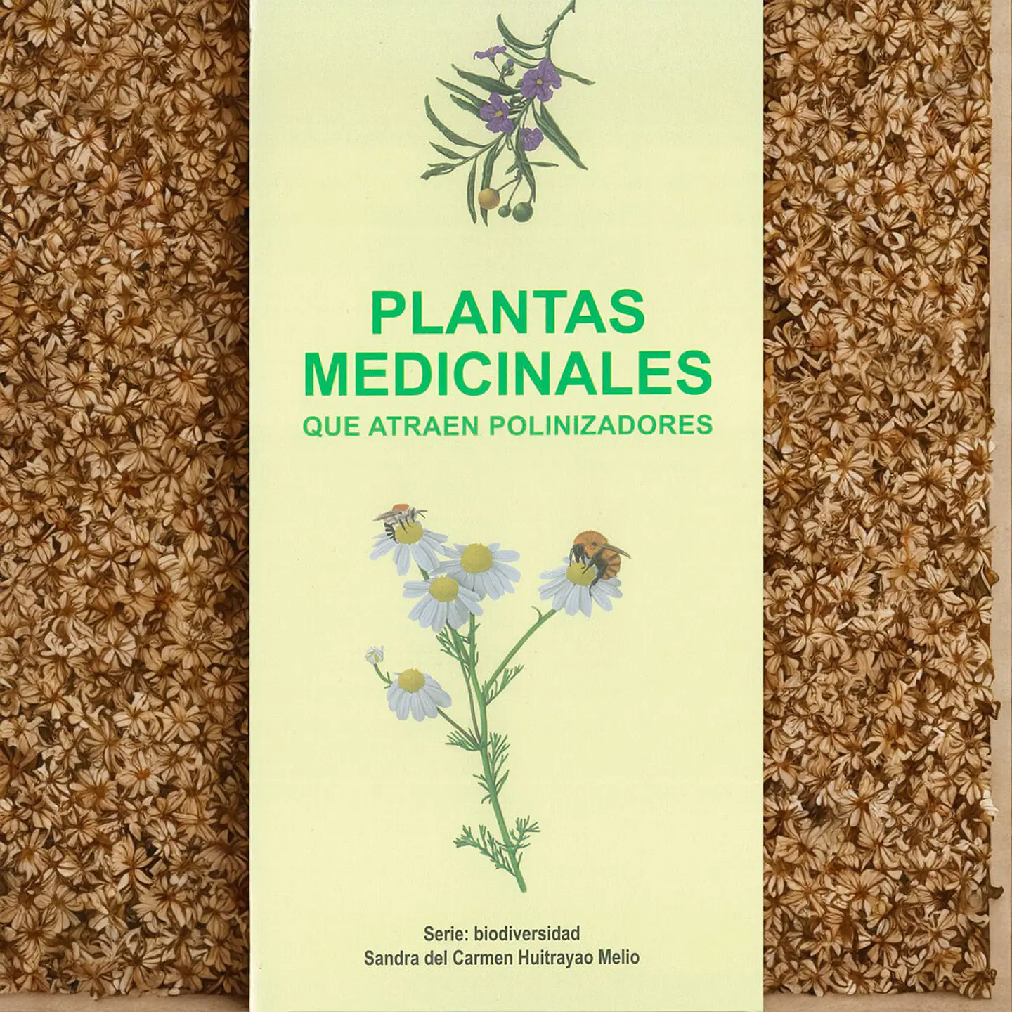 Plantas Medicinales Que Atraen Polinizadores - Sandra Huitrayao 1