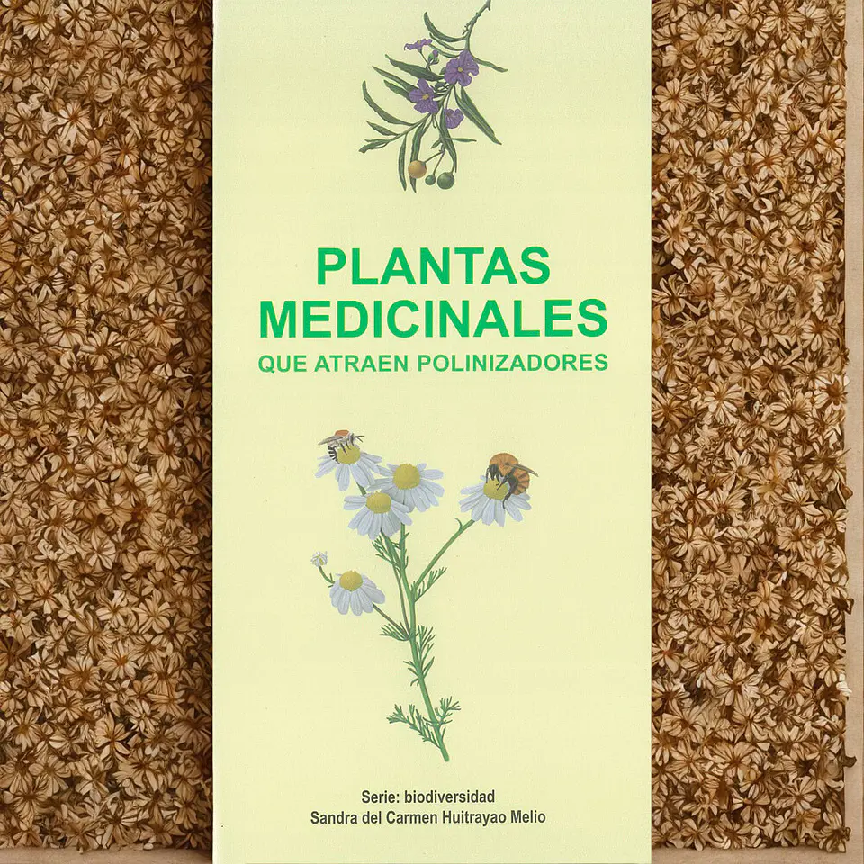 Plantas Medicinales Que Atraen Polinizadores - Sandra Huitrayao 1