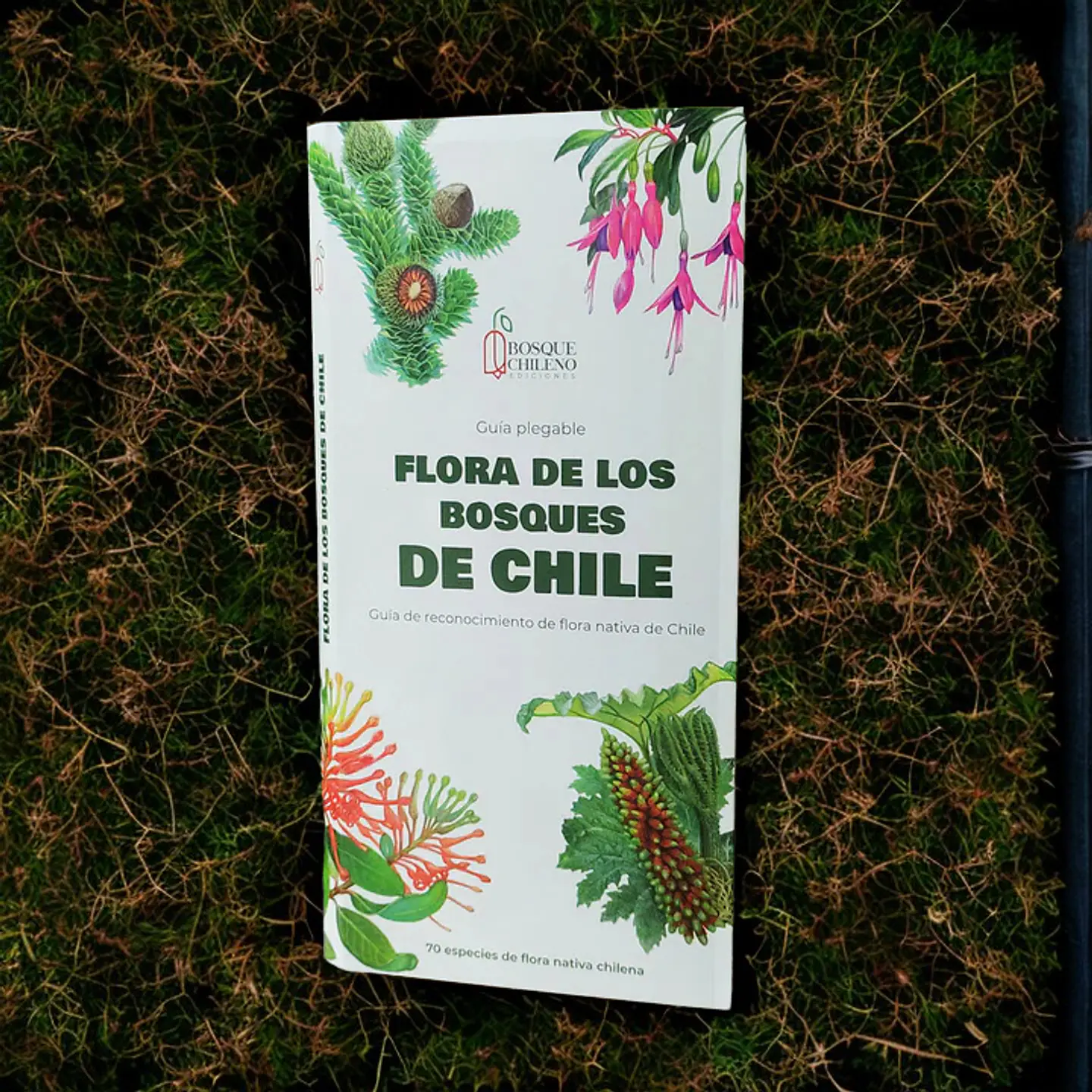 Flora de los Bosques de Chile – Guía desplegable 2