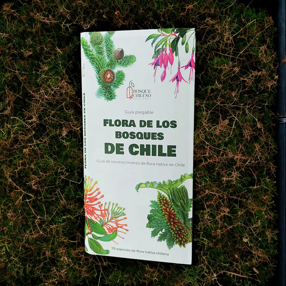 Flora de los Bosques de Chile – Guía desplegable 2