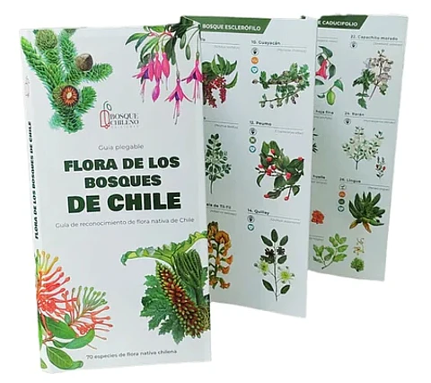 Flora de los Bosques de Chile – Guía desplegable