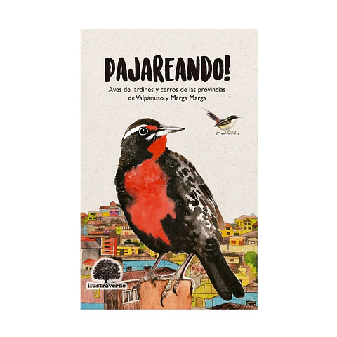 Pajareando - Aves de Jardines y Cerros de Valparaíso