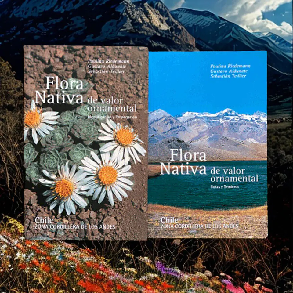 Flora Nativa de Valor Ornamental Zona Cordillera - Paulina Riedemann 2