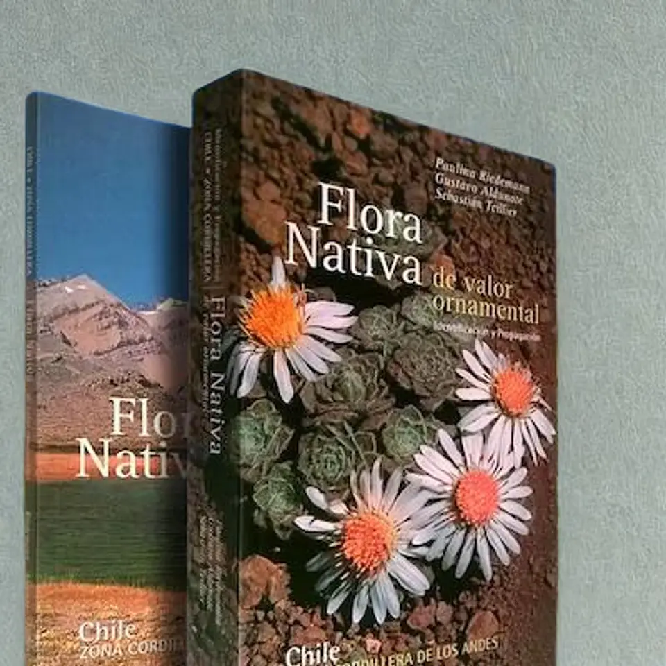 Flora Nativa de Valor Ornamental Zona Cordillera - Paulina Riedemann 3