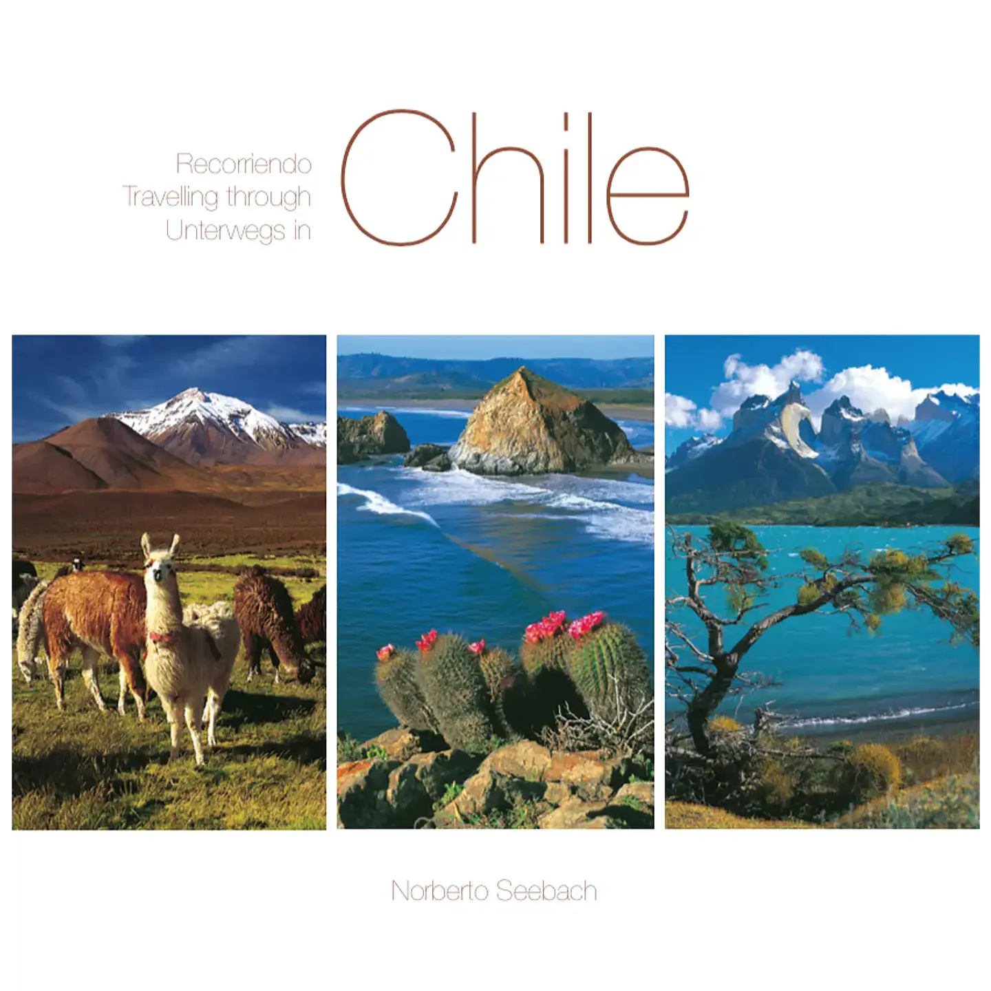 RECORRIENDO CHILE /Travelling through/Unterwegs in Chile 1
