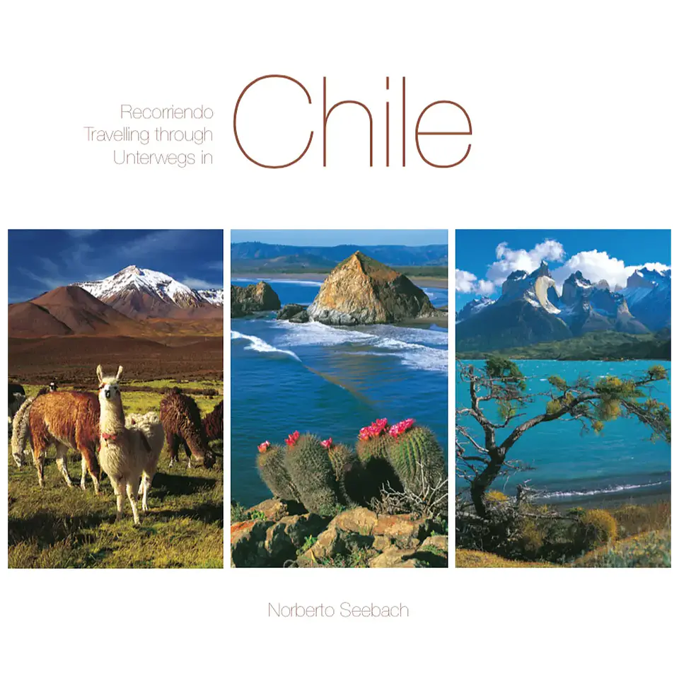 RECORRIENDO CHILE /Travelling through/Unterwegs in Chile 1