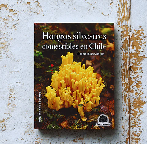 Hongos Silvestres Comestibles en Chile - Robert Muñoz Alocilla