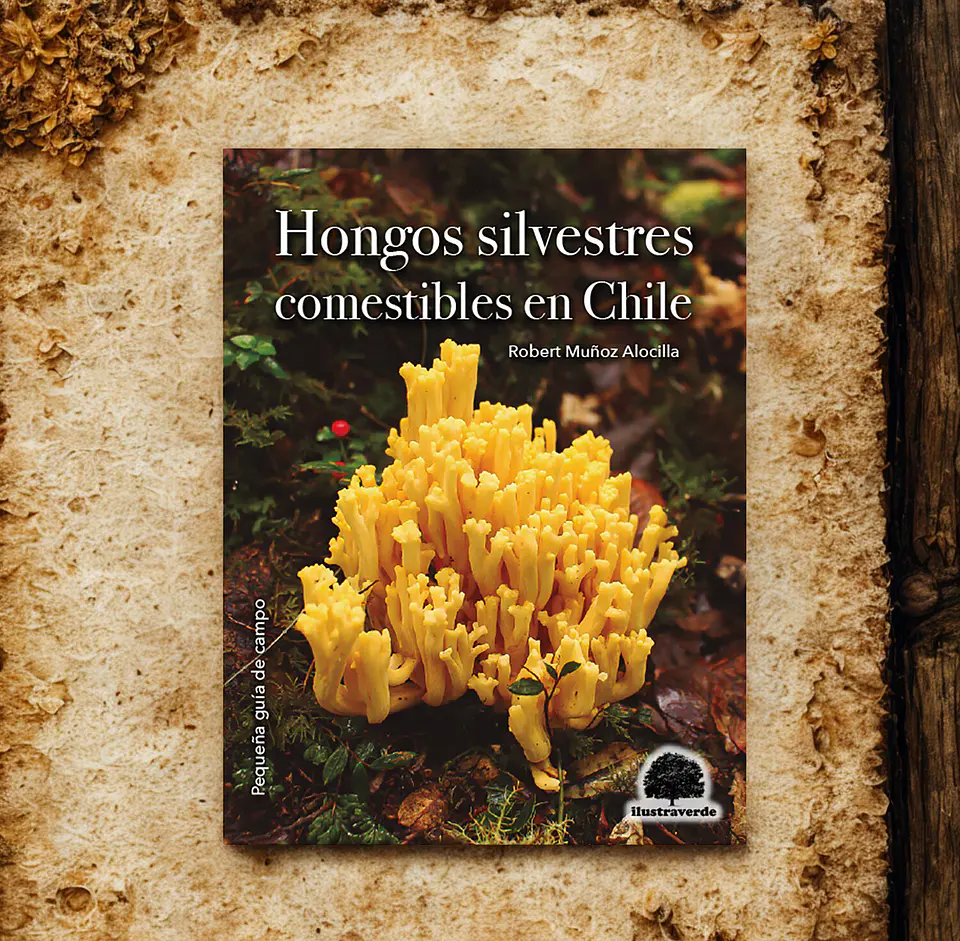 Hongos Silvestres Comestibles en Chile - Robert Muñoz Alocilla 2