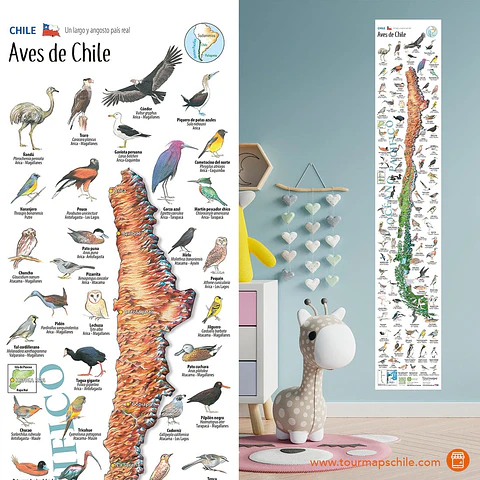 Aves de Chile - Mapa Desplegable - Tourmaps