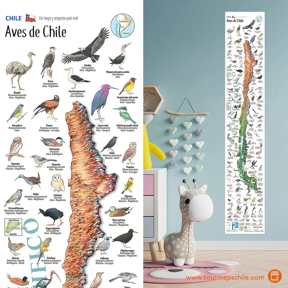 Aves de Chile - Mapa Desplegable - Tourmaps 1