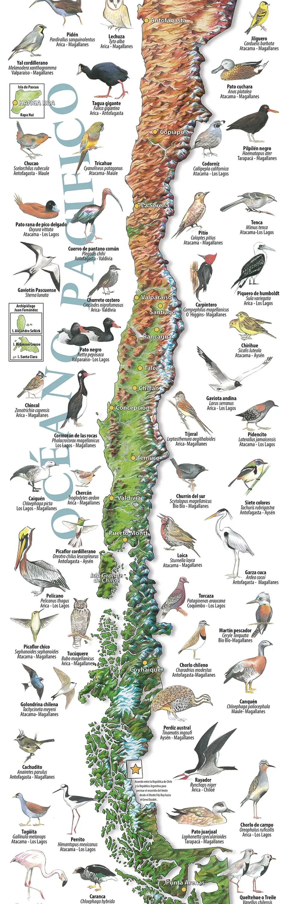 Aves de Chile - Mapa Desplegable - Tourmaps 2