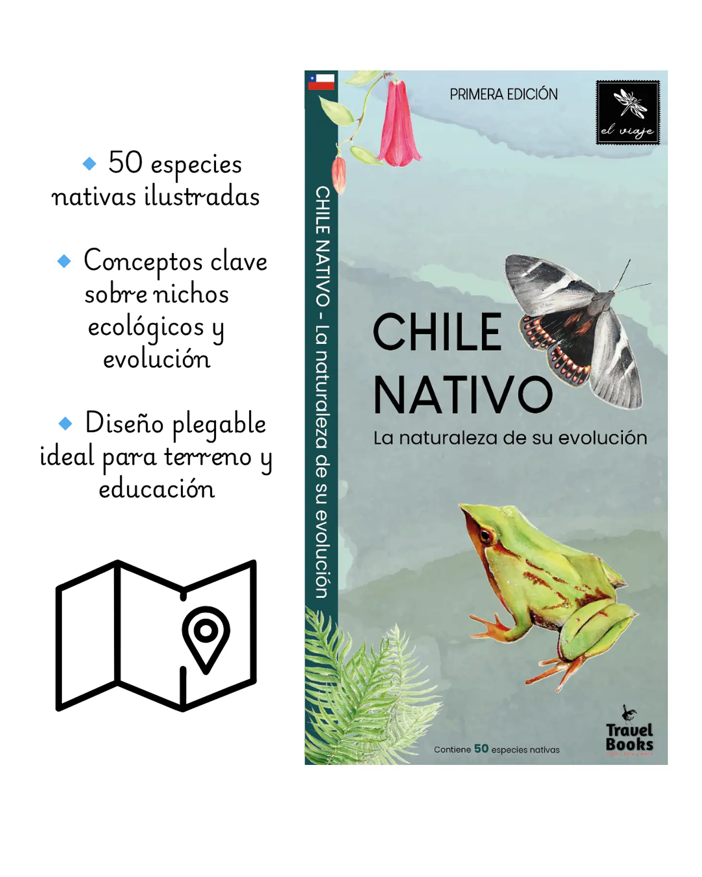 Chile Nativo: La naturaleza de su evolución - El Viaje 3