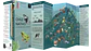 Chile Nativo: La naturaleza de su evolución - El Viaje - thumbnail 2