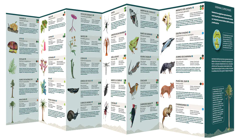 Chile Nativo: La naturaleza de su evolución - El Viaje 4