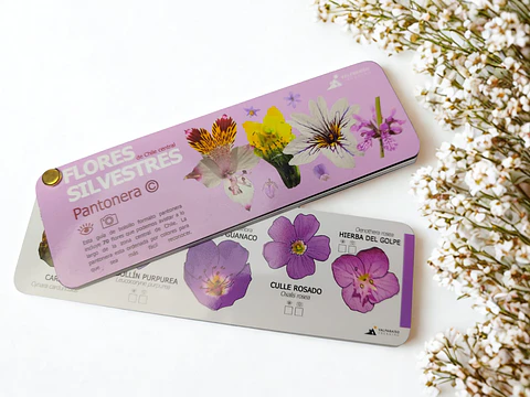 Guía de Bolsillo "Flores Silvestres de Chile Central" – Formato Pantonera