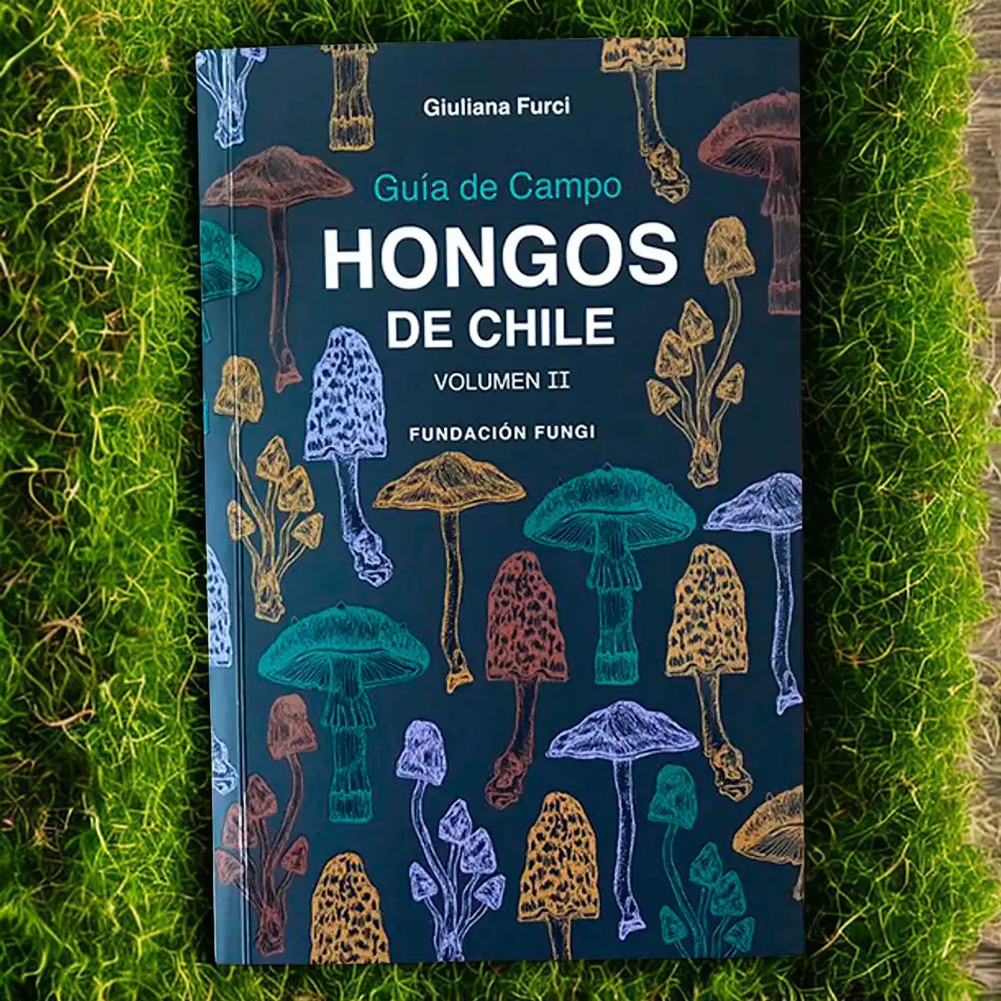 Guía de Campo: Hongos de Chile Vol. 2 – Giuliana Furci 2