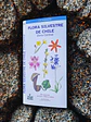 Guía Desplegable 