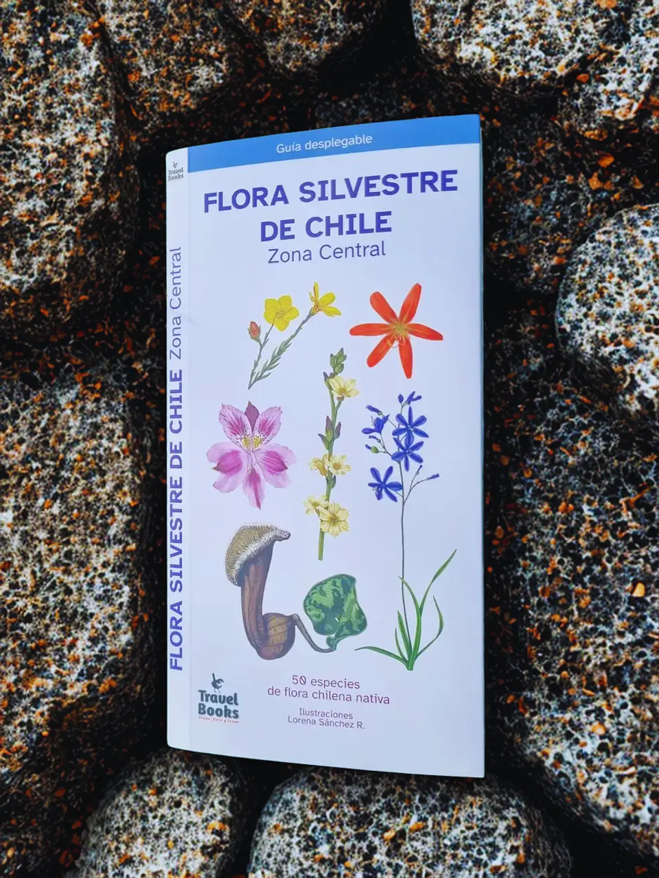 Guía Desplegable 